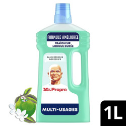 Bidon Mr Propre Fleurs de Pommier 1L nettoyant multi-surfaces discount Province de Liège.