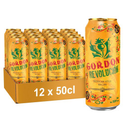 Pack 12 canettes 50cl Gordon Revolucion bière 5,9% prix discount Liège.