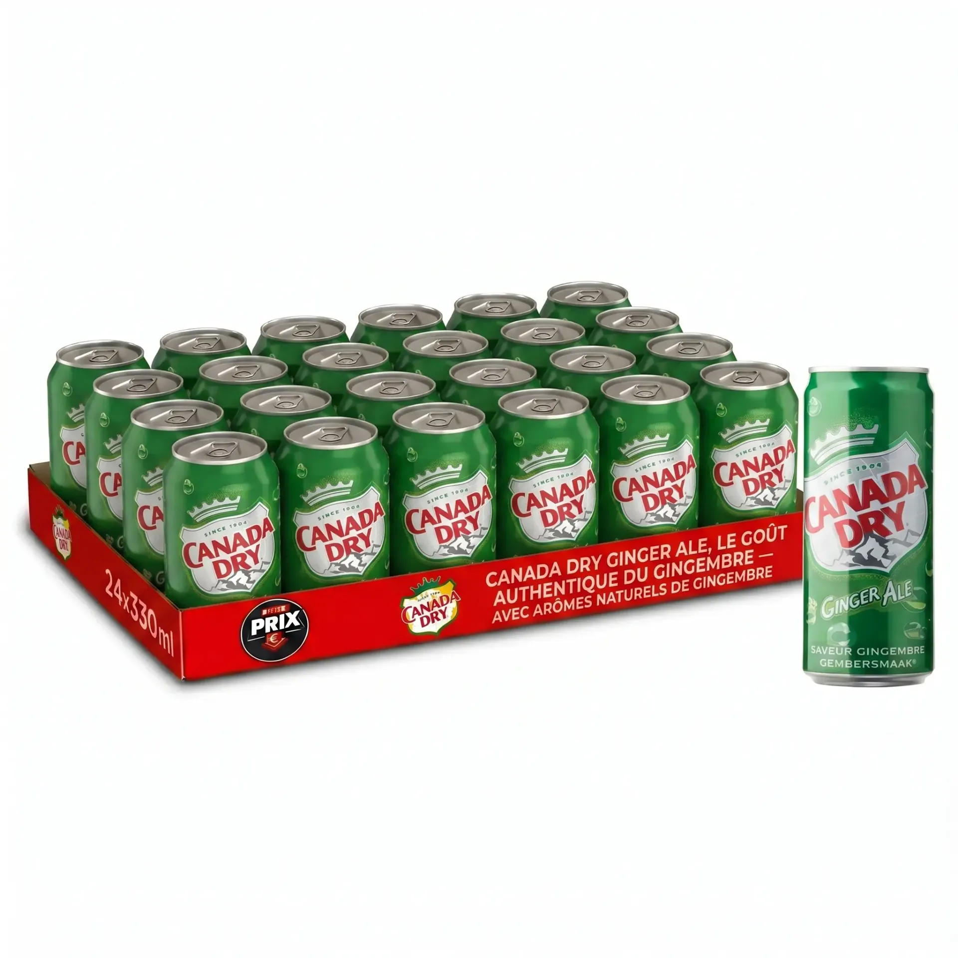Canada Dry BE Canette 24x33 Cl