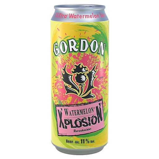 Gordon Watermelon Xplosion Canette 50 Cl